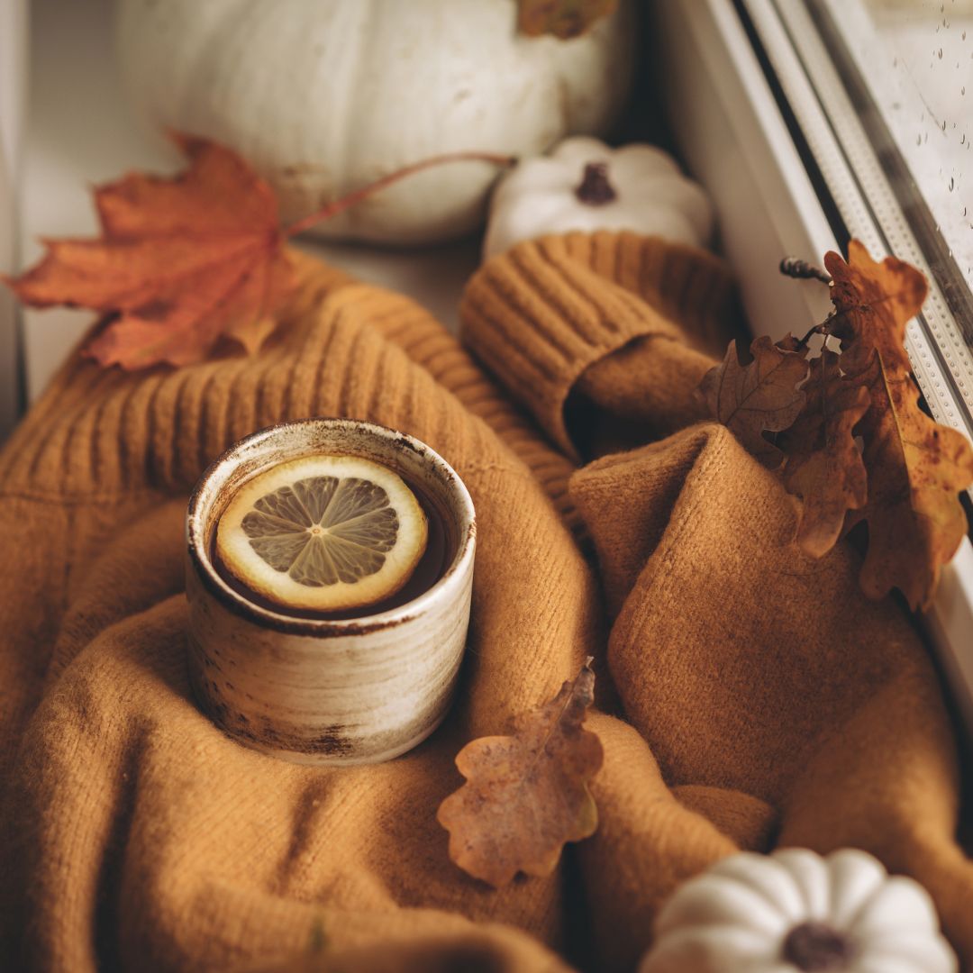 Autumn Limited Edition