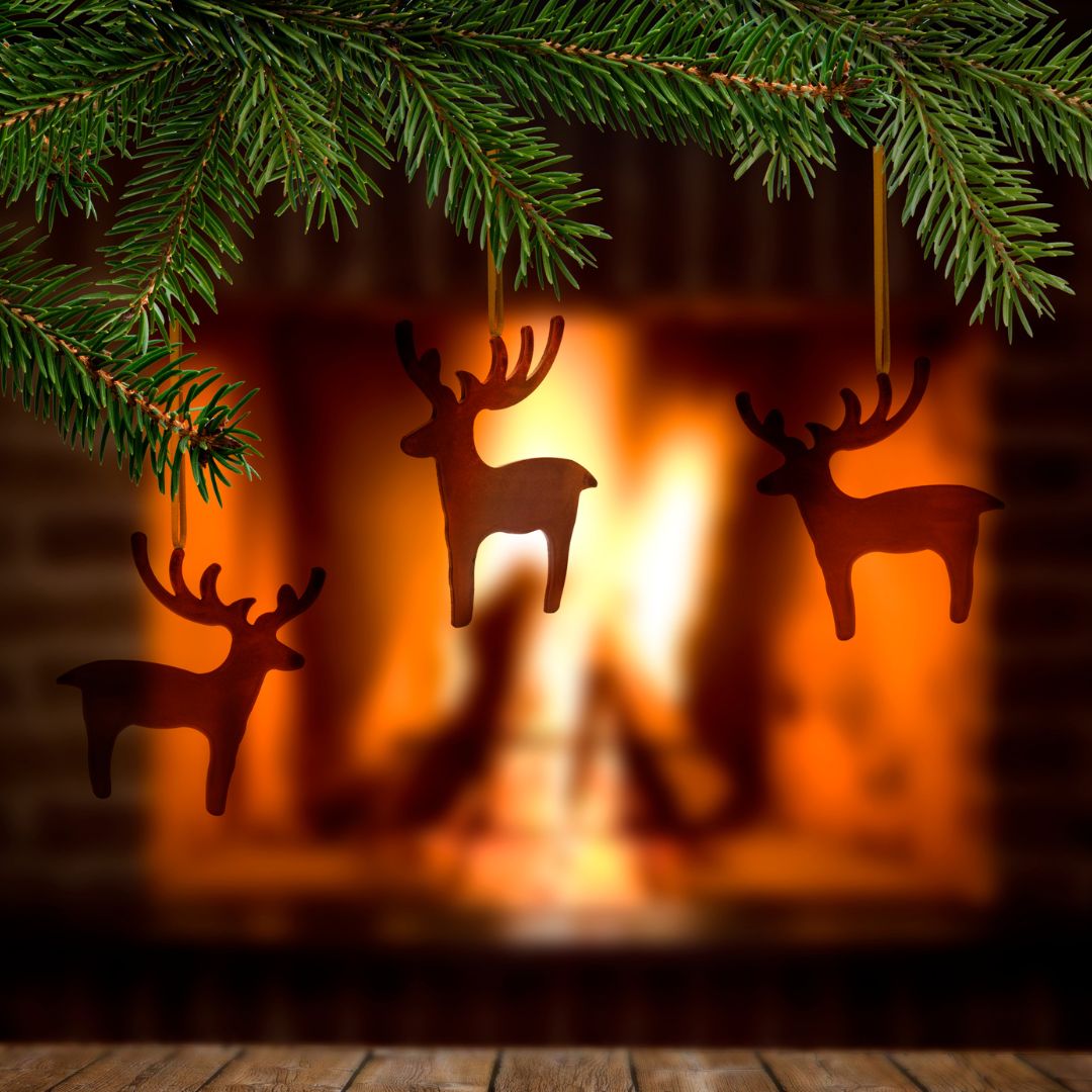 Winter Limited Edition