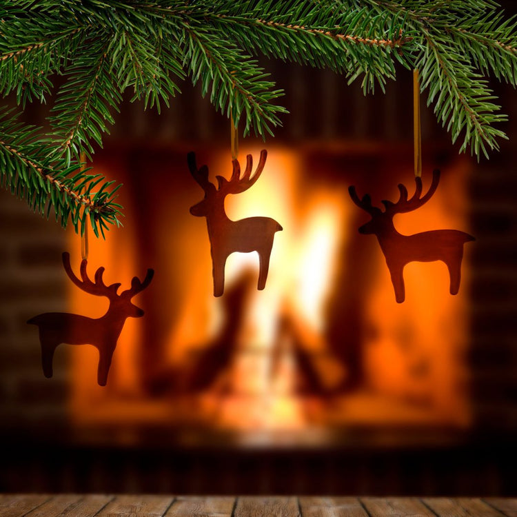 Winter Limited Edition